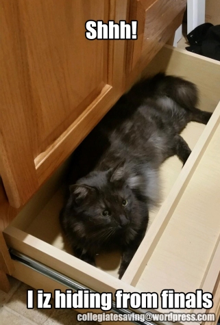moonshine in drawer